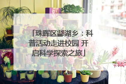 珠晖区酃湖乡：科普活动走进校园 开启科学探索之旅