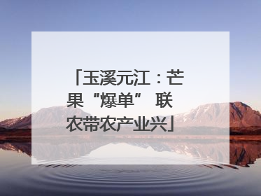 玉溪元江：芒果“爆单” 联农带农产业兴