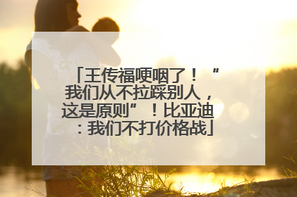 王传福哽咽了！“我们从不拉踩别人，这是原则”！比亚迪：我们不打价格战