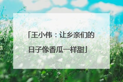 王小伟：让乡亲们的日子像香瓜一样甜