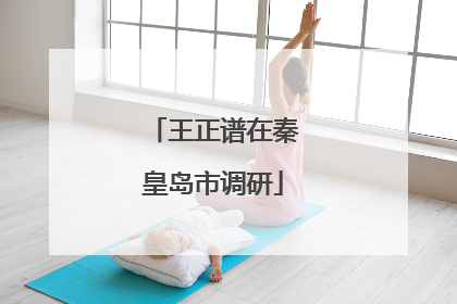 王正谱在秦皇岛市调研