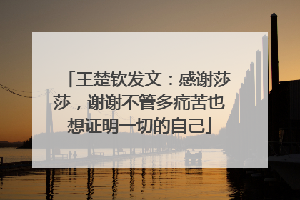 王楚钦发文：感谢莎莎，谢谢不管多痛苦也想证明一切的自己
