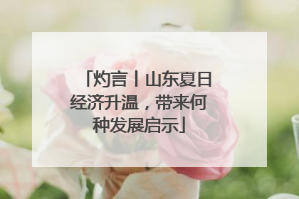 灼言丨山东夏日经济升温，带来何种发展启示
