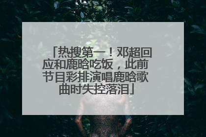 热搜第一！邓超回应和鹿晗吃饭，此前节目彩排演唱鹿晗歌曲时失控落泪