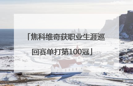 焦科维奇获职业生涯巡回赛单打第100冠