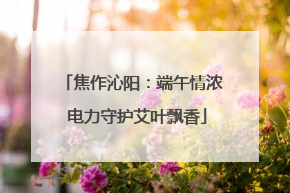 焦作沁阳：端午情浓 电力守护艾叶飘香