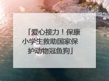 爱心接力！保康小学生救助国家保护动物冠鱼狗