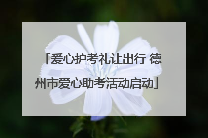爱心护考礼让出行 德州市爱心助考活动启动