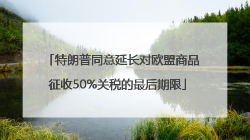 特朗普同意延长对欧盟商品征收50%关税的最后期限