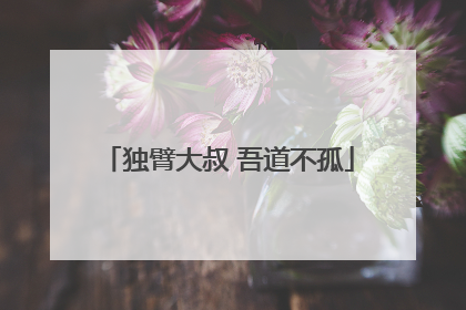 独臂大叔 吾道不孤
