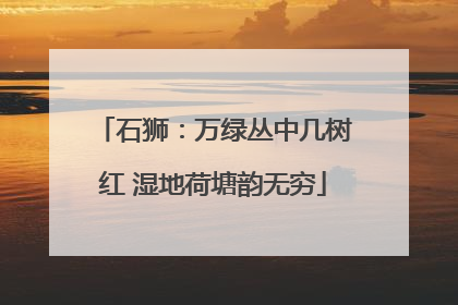 石狮：万绿丛中几树红 湿地荷塘韵无穷