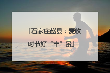 石家庄赵县：麦收时节好“丰”景
