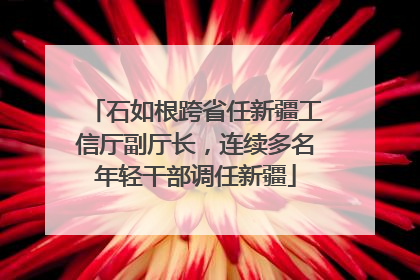 石如根跨省任新疆工信厅副厅长，连续多名年轻干部调任新疆