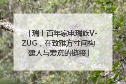 瑞士百年家电瑞族V-ZUG，在致雅方寸间构建人与爱意的链接