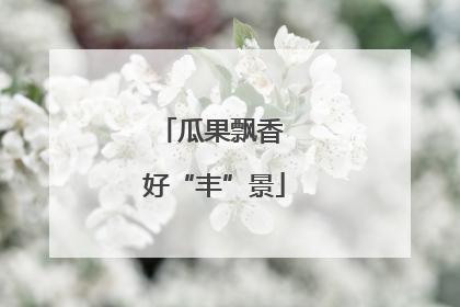 瓜果飘香 好“丰”景