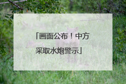 画面公布！中方采取水炮警示