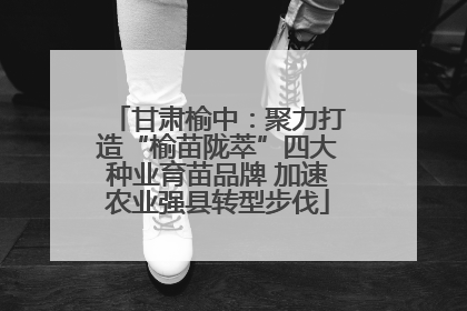 甘肃榆中：聚力打造“榆苗陇萃”四大种业育苗品牌 加速农业强县转型步伐