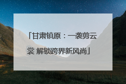 甘肃镇原：一袭剪云裳 解锁跨界新风尚