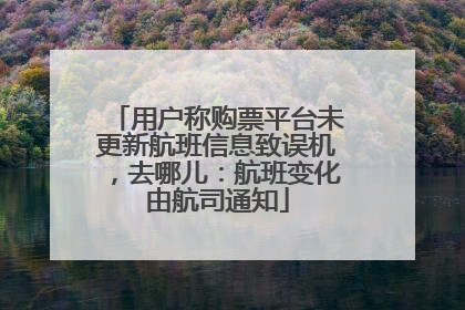 用户称购票平台未更新航班信息致误机，去哪儿：航班变化由航司通知
