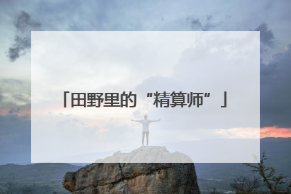 田野里的“精算师”