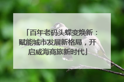 百年老码头蝶变焕新：赋能城市发展新格局，开启威海商旅新时代