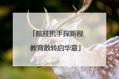 皖桂携手探新程 教育数转启华章