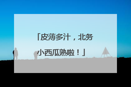皮薄多汁，北务小西瓜熟啦！