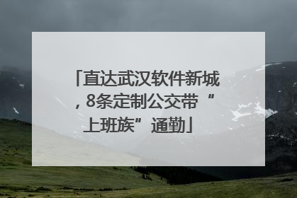 直达武汉软件新城，8条定制公交带“上班族”通勤
