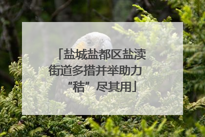 盐城盐都区盐渎街道多措并举助力“秸”尽其用