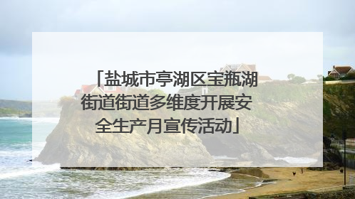 盐城市亭湖区宝瓶湖街道街道多维度开展安全生产月宣传活动