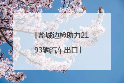 盐城边检助力2193辆汽车出口