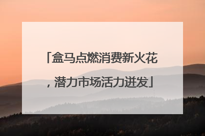 盒马点燃消费新火花，潜力市场活力迸发