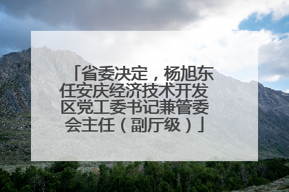 省委决定，杨旭东任安庆经济技术开发区党工委书记兼管委会主任（副厅级）