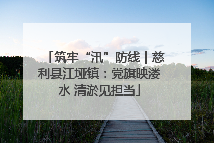 筑牢“汛”防线｜慈利县江垭镇：党旗映溇水 清淤见担当