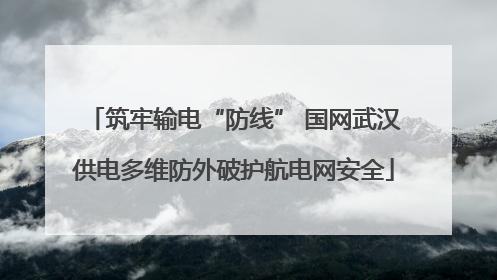 筑牢输电“防线” 国网武汉供电多维防外破护航电网安全