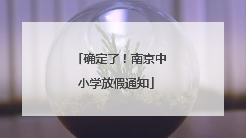 确定了！南京中小学放假通知