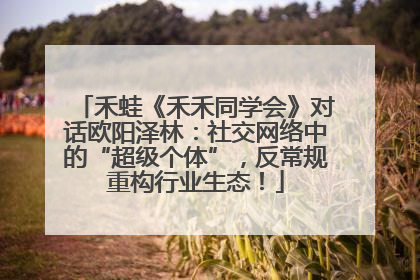 禾蛙《禾禾同学会》对话欧阳泽林：社交网络中的“超级个体”，反常规重构行业生态！