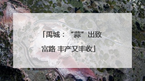 禹城：“蒜”出致富路 丰产又丰收