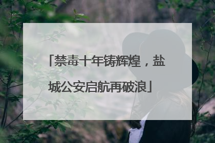 禁毒十年铸辉煌，盐城公安启航再破浪