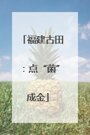 福建古田：点“菌”成金