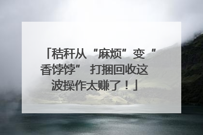 秸秆从“麻烦”变“香饽饽” 打捆回收这波操作太赚了！