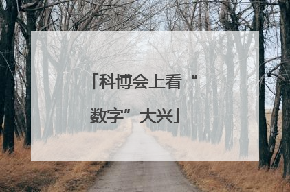 科博会上看“数字”大兴