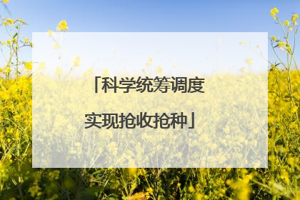 科学统筹调度实现抢收抢种