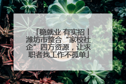 稳就业 有实招丨潍坊市整合“家校社企”四方资源，让求职者找工作不孤单