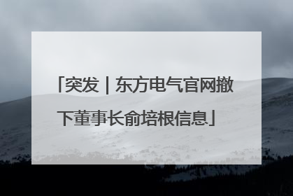 突发｜东方电气官网撤下董事长俞培根信息