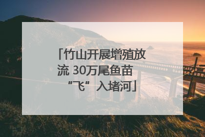 竹山开展增殖放流 30万尾鱼苗“飞”入堵河