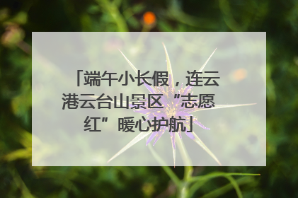 端午小长假,连云港云台山景区“志愿红”暖心护航