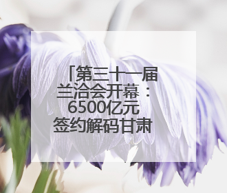 第三十一届兰洽会开幕：6500亿元签约解码甘肃开放新活力
