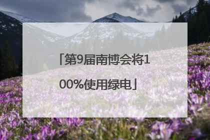 第9届南博会将100%使用绿电