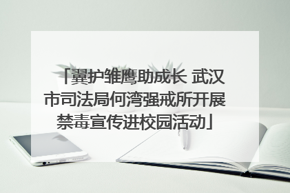翼护雏鹰助成长 武汉市司法局何湾强戒所开展禁毒宣传进校园活动